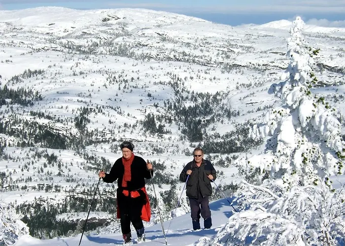 Holiday home 3 Bedroom In Vradal